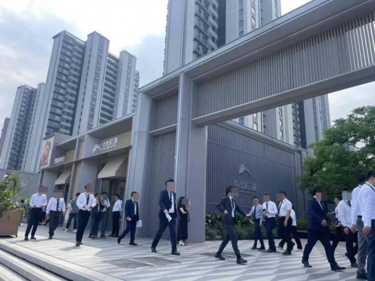 xm外汇平台账号注册攻克牛“芯片”,中国奶牛新品系培育迈上新台阶