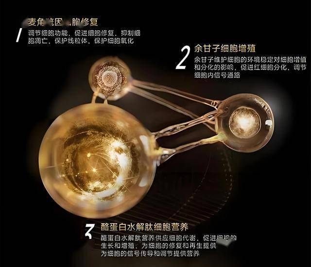 掌握xm外汇官方网站的核心要点，让你轻松开启理财理财新篇章